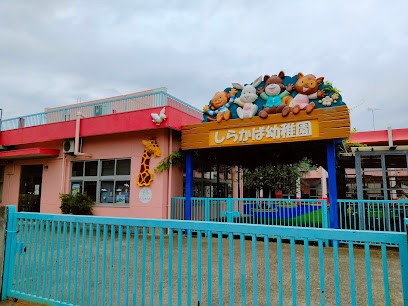 ���ӊ� �c�t���E�ۈ牀 400m ��a�c���炩�Ηc�t��