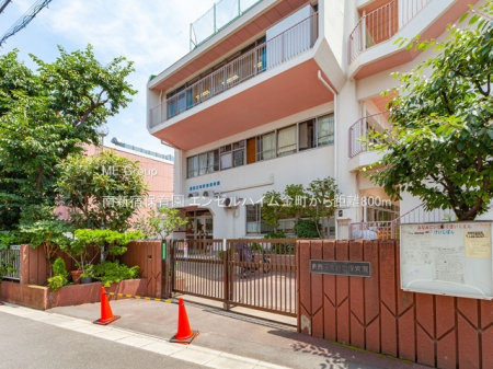 ���ӊ� �c�t���E�ۈ牀 800m ��V�h�ۈ牀