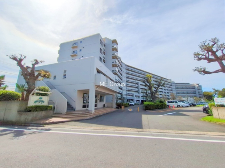 ���n�O�ώʐ^ -