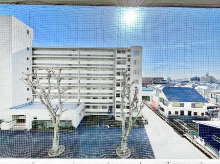 ���̑� �S�n�悢����������ꂻ���Ȓ��]�ł�