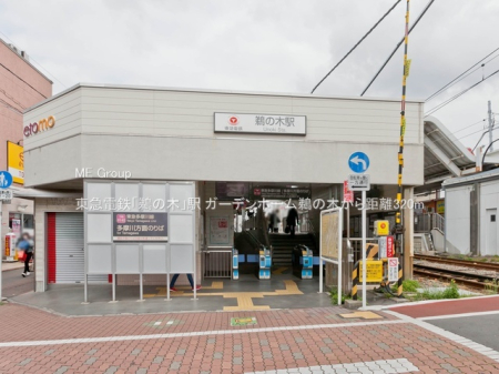 ���ӊ� �w 320m ���}�d�S�u�L�̖؁v�w