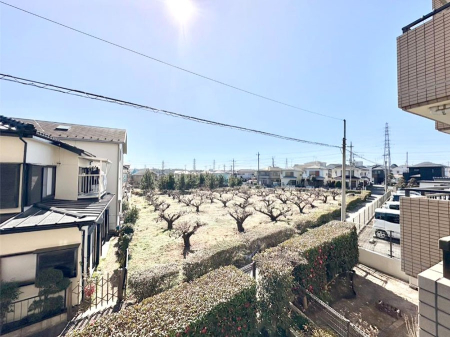 ���̑� ���Z�܂�����̒��]�ł��I  