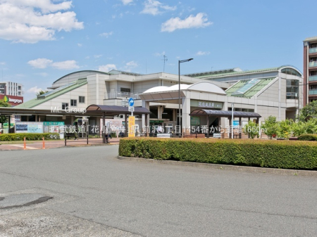 ���ӊ� �w 1650m �����S���u�ԏ�����v�w