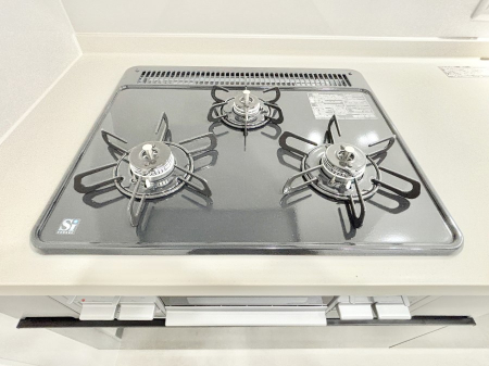 ���̑����� �O���K�X�R�����ł���������C�ɂ͂��ǂ肻��   