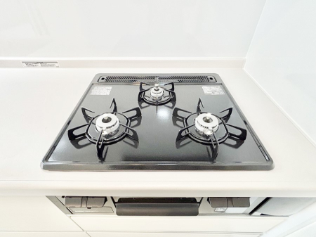 ���̑����� �O���K�X�R�����ł���������C�ɂ͂��ǂ肻��  