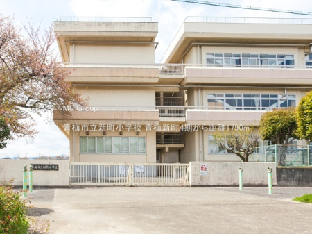 ���ӊ� ���w�Z 1790m �~�s���V�����w�Z