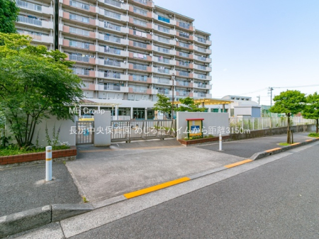 ���ӊ� �c�t���E�ۈ牀 3150m ���[�����ۈ牀