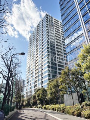 ���n�O�ώʐ^ ��������n�܂�V�����������������܂�