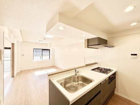 �L�b�`�� �L�X�Ƃ����g������̗ǂ��L�b�`���œ��X�̂��������y�����Ȃ肻��