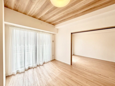 ���r���O �傫�ȑ����炽���Ղ�̗z���ƕ����������郊�r���O