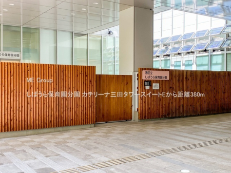 ���ӊ� �c�t���E�ۈ牀 380m ���΂���ۈ牀����