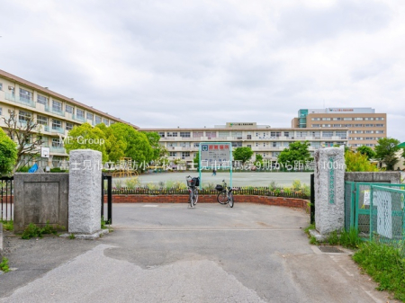 ���ӊ� ���w�Z 1100m �x�m���s���z�K���w�Z