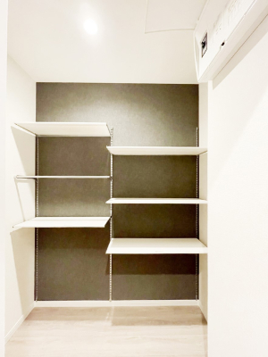 ���̑����� ���[�͂���[��