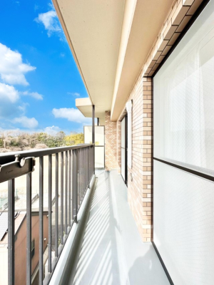 �o���R�j�[ ���ʂ��̗ǂ��o���R�j�[