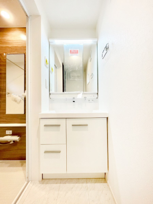 ���ʑ�E���ʏ� �X�^�C�����O�ɕ֗��ȎO�ʋ��A�~���[�L���r�l�b�g�ōׂ������X�b�L��