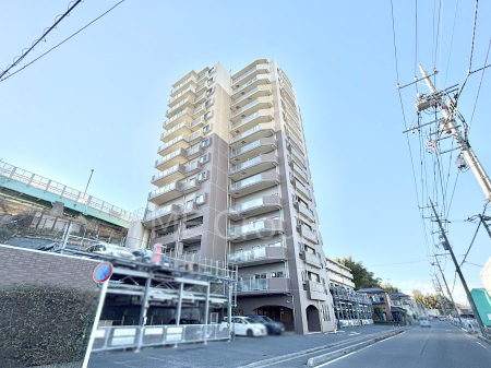 ���n�O�ώʐ^ ����z���ł��Ƒ��̏Ί���P�� 