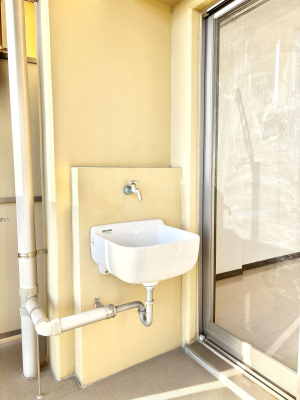 ���̑����� �o���R�j�[����������΂��|�����y�X�ł��B    