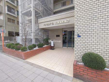 �G���g�����X -