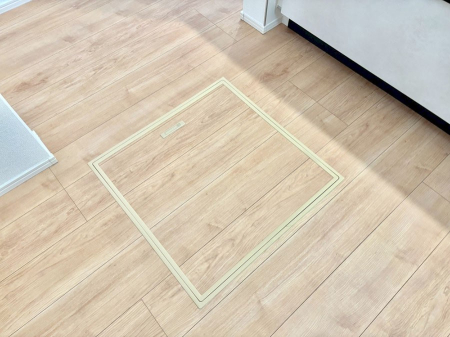 ���̑����� �������[�t���I���p�i�E���p�i�̎��[�ɂ��劈��B