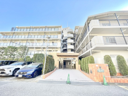 ���n�O�ώʐ^ ��Ƃ肪�Ί�𐶂ސS�n�悢����