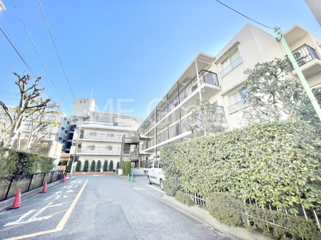 ���n�O�ώʐ^ ����z���ł��Ƒ��̏Ί���P�� 