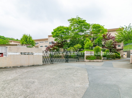 ���ӊ� ���w�Z 1500m �����q�s�����R���w�Z