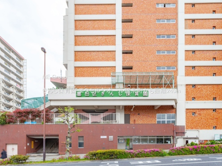 ���ӊ� �c�t���E�ۈ牀 240m ���񂵕ۈ牀