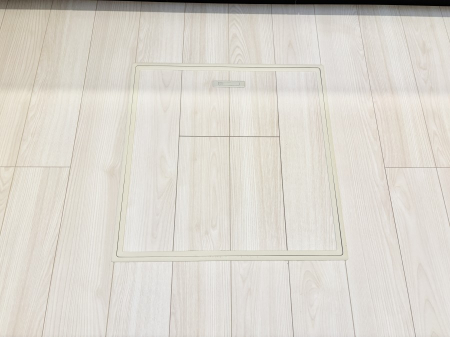 ���̑����� �������[�t���I���p�i�E���p�i�̎��[�ɂ��劈��B