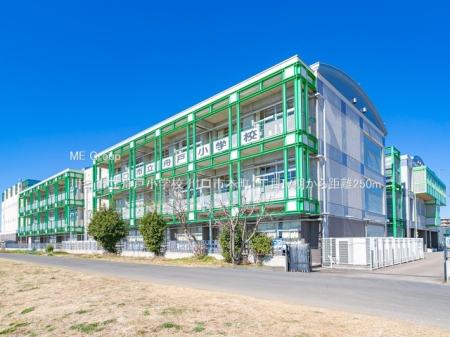 ���ӊ� ���w�Z 250m ����s���M�ˏ��w�Z