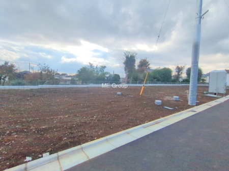 ���n�y�n�ʐ^ -