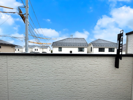 �o���R�j�[ ���ʂ��̗ǂ��o���R�j�[