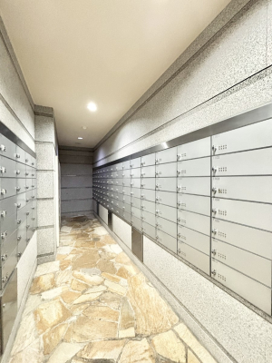 ���̑� �W���|�X�g