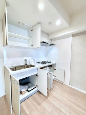 ���̑����� �݌˒I�ƃL�b�`�����[�ŃL�b�`����������I