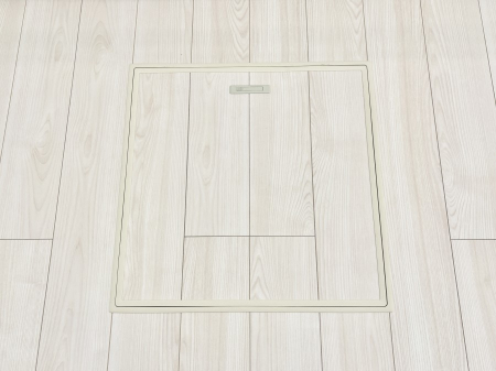 ���̑����� �������[�t���I���p�i�E���p�i�̎��[�ɂ��劈��B