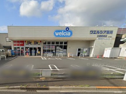 ���ӊ� �h���b�O�X�g�A 700m �E�G���V�A�O����X