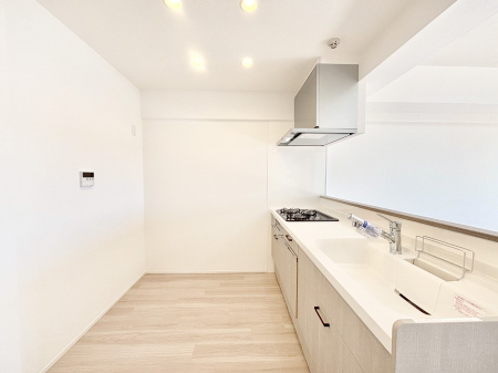 �L�b�`�� ��Ƃ肠��L�b�`���X�y�[�X�ł�������H��̌�Еt�����X���[�Y�ɁI