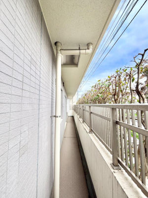 �o���R�j�[ ���ʂ��̗ǂ��o���R�j�[