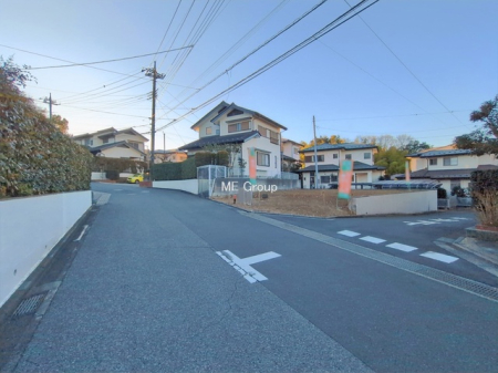 ���n�y�n�ʐ^ -