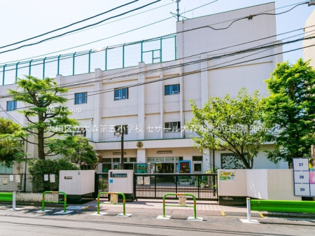 ���ӊ� ���w�Z 560m ��c�旧��X��܏��w�Z