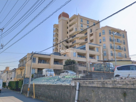 ���n�O�ώʐ^ -