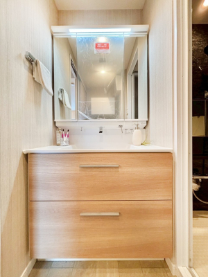 ���ʑ�E���ʏ� ���[�͂Ƌ@�\���ɗD�ꂽ���ʉ��ϑ�  