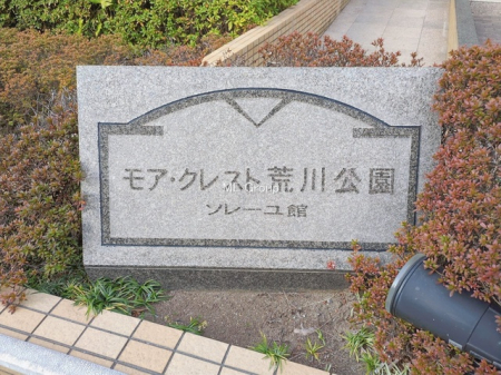 �G���g�����X -