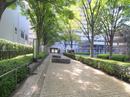 �G���g�����X -