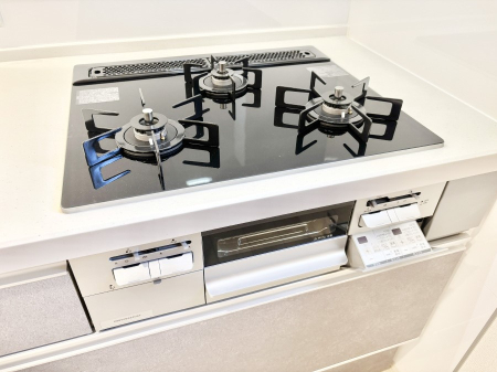 ���̑����� �O���K�X�R�����ł���������C�ɂ͂��ǂ肻���B  