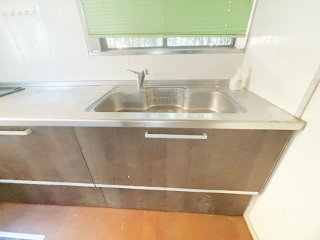 ���̑����� �L�X�Ƃ����V���N�ł������₨�M�􂢂����N���N���K�ɁI