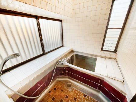 ���� ����̔�������Ă���閾�邢�������̂���o�X���[��