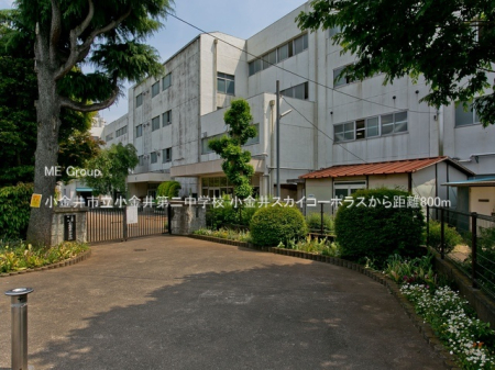 ���ӊ� ���w�Z 800m ������s���������񒆊w�Z