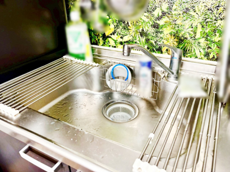 ���̑����� �L�X�Ƃ����V���N�ł������₨�M�􂢂����N���N���K�ɁI