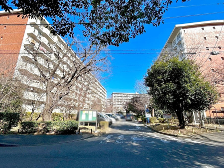 ���n�O�ώʐ^ ����z���ł��Ƒ��̏Ί���P�� 