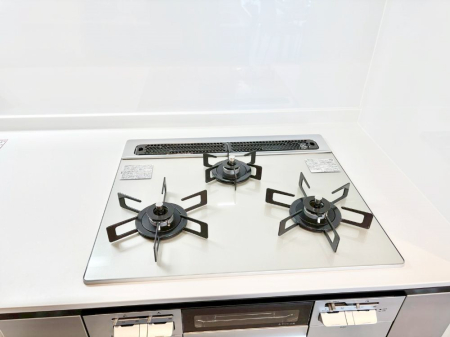 ���̑����� �O���K�X�R�����ł���������C�ɂ͂��ǂ肻��  